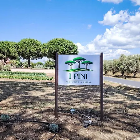 Apartment I Pini-1 By Interhome Marina Di Bibbona